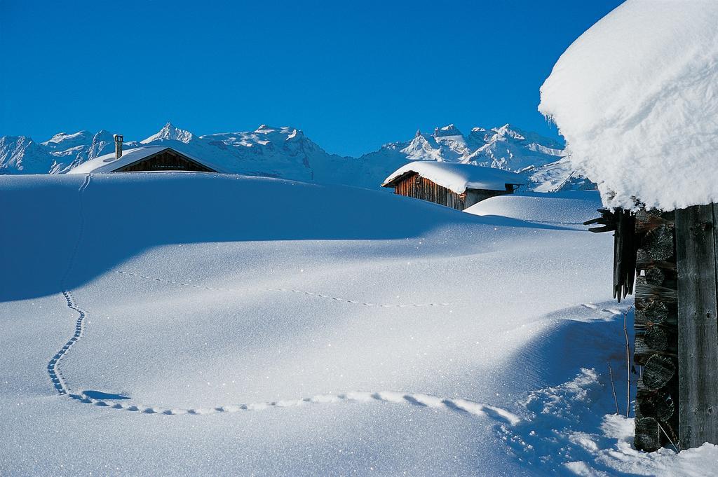 Chalet Zamang Schruns Exterior photo